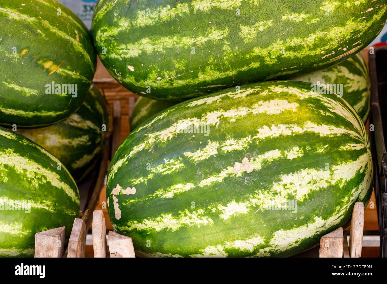 Enormi cocomeri dolci provenienti dal Sud Europa Foto Stock