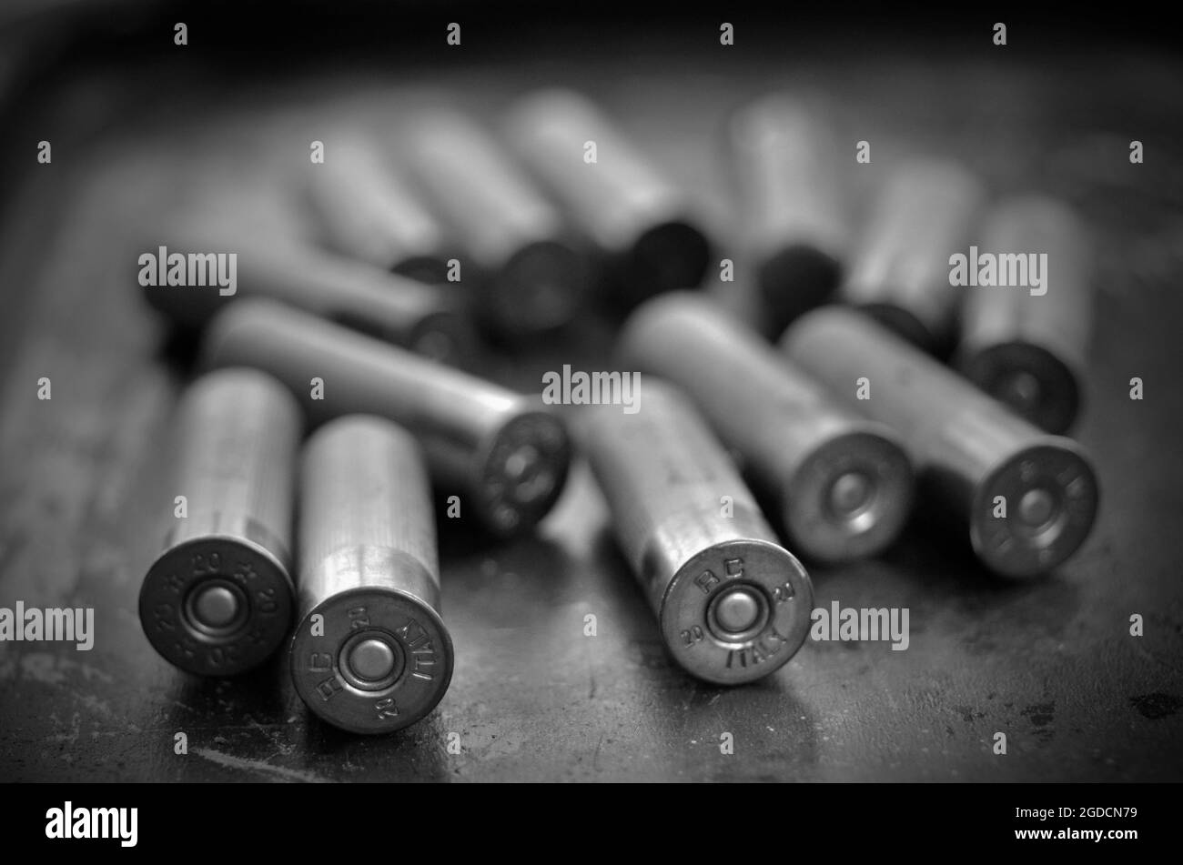 pila di cartucce per fucili da 20 bore Foto Stock