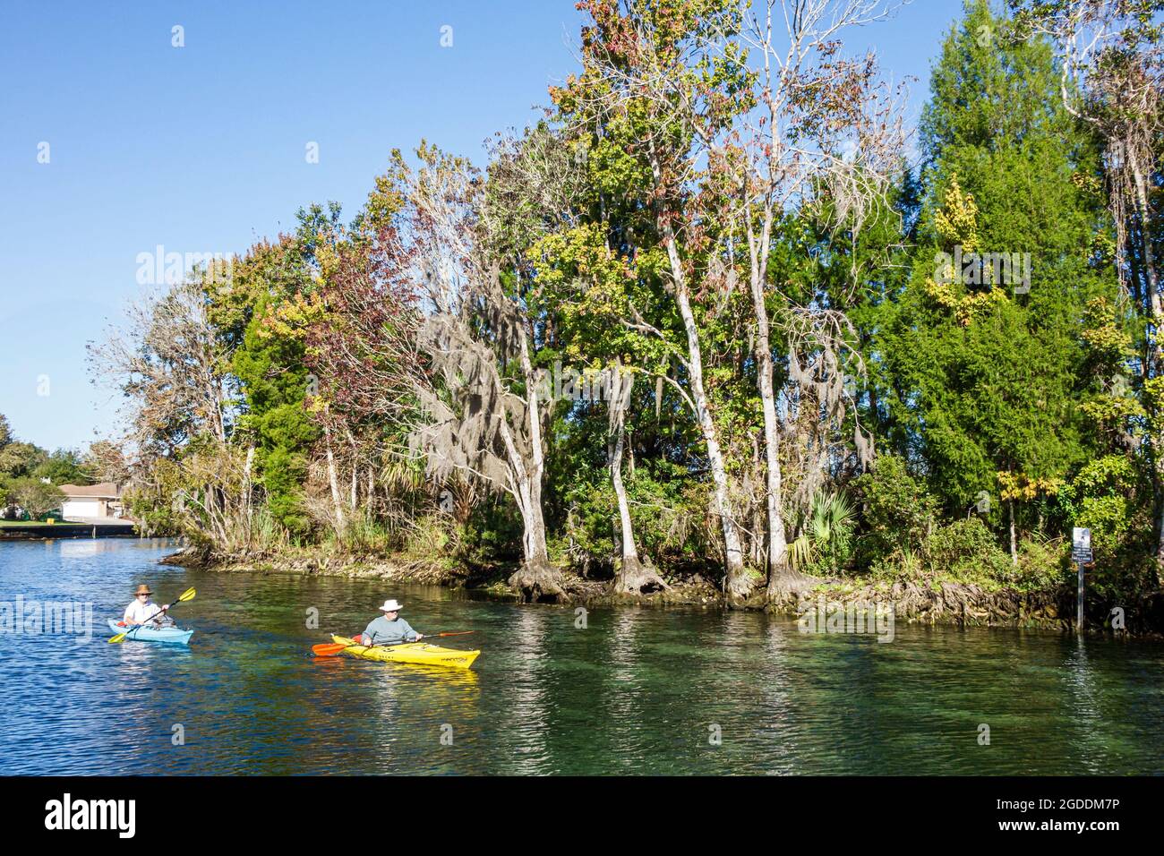 Florida Kings Bay Crystal River National Wildlife Refuge acqua paesaggio naturale, kayak kayak anziani cittadini uomini maschi Foto Stock