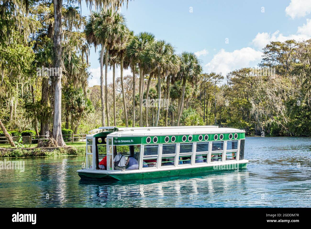 Florida Silver Springs state Park, battello con fondo in vetro del fiume Silver, paesaggio naturale di Chief Micanopy, palme d'acqua, Foto Stock