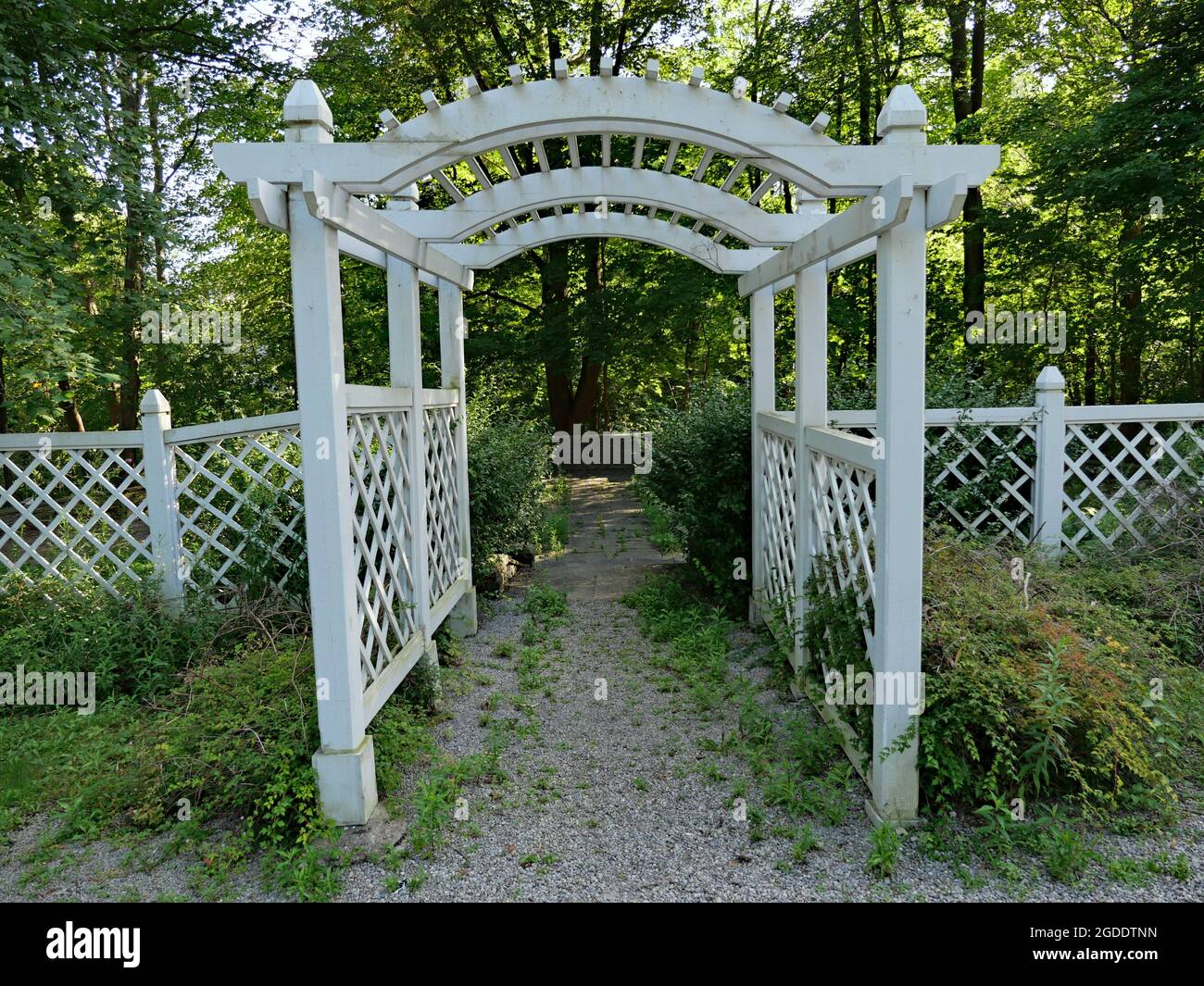 Pergola o Arbor che conduce ad un parco alberato ombreggiato pieno Foto Stock