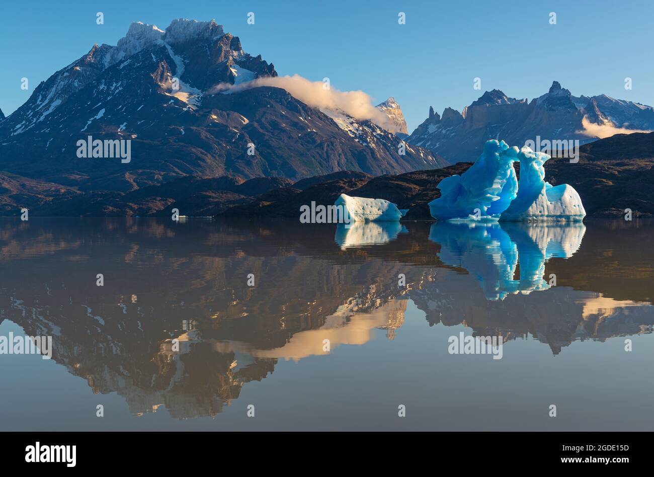 Lago Grey (Grey Lake) all'alba con iceberg dal Ghiacciaio Gray, Parco Nazionale Torres del Paine, Patagonia, Cile. Foto Stock
