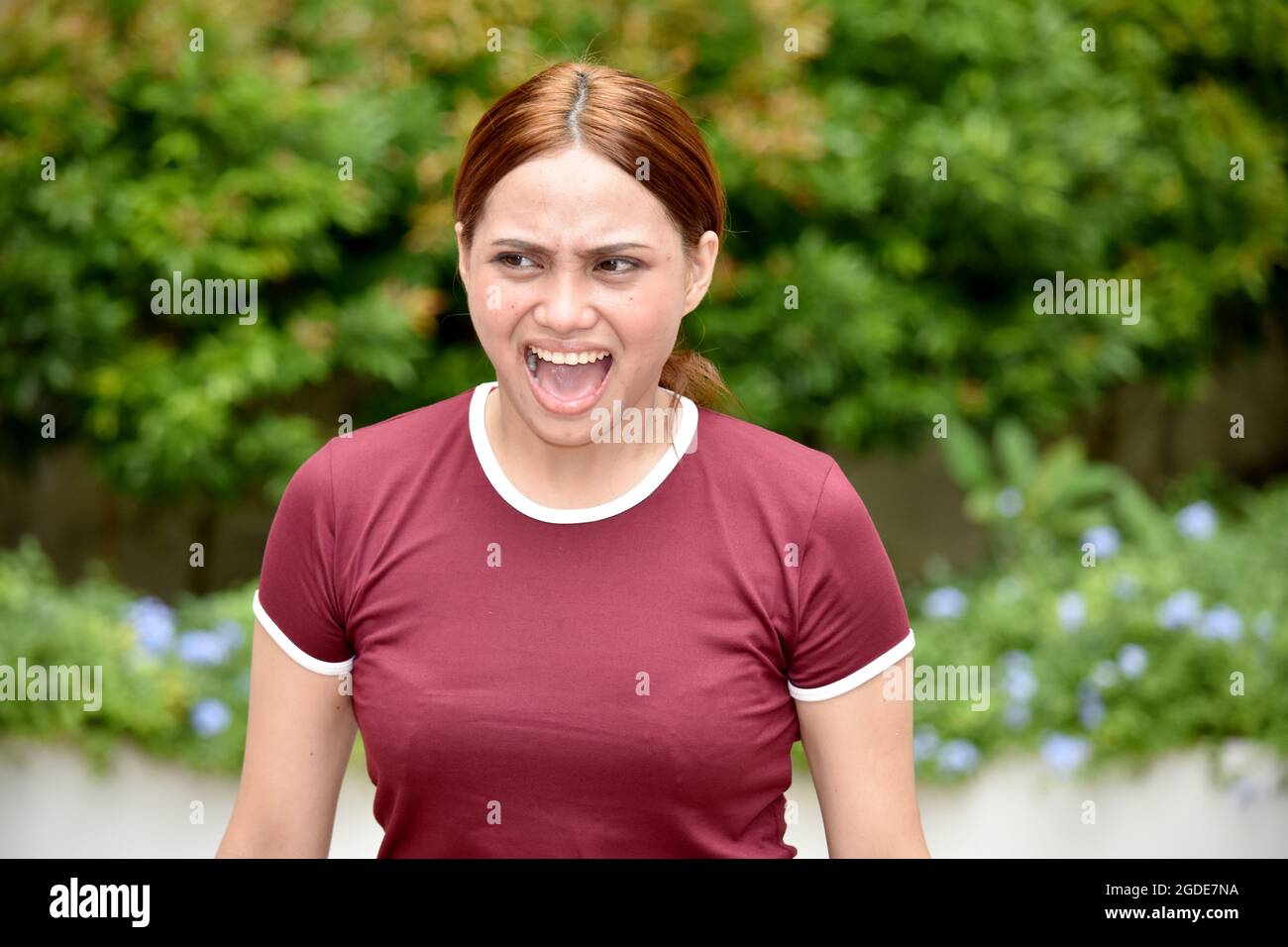 Una giovane e ansiosa Redhead femmina Adulto Foto Stock