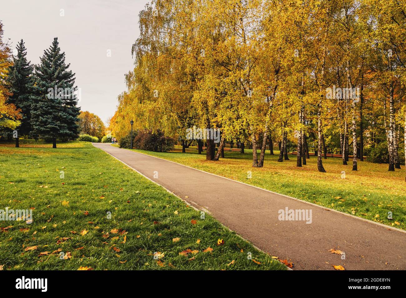 Parco Kolomenskoye il giorno d'autunno a Mosca. Russia Foto Stock