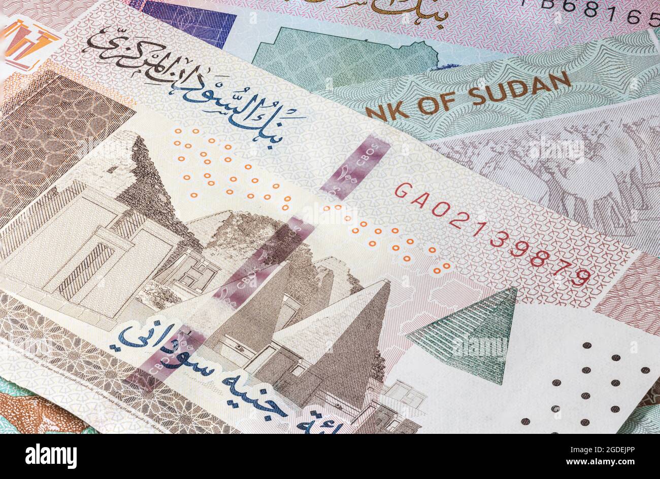 Vicino fino a cinquanta libbre della Repubblica del Sudan. Banconote cartacee del paese sudanese africano. Acquisizione dettagliata del design anteriore. Dettagliato Foto Stock