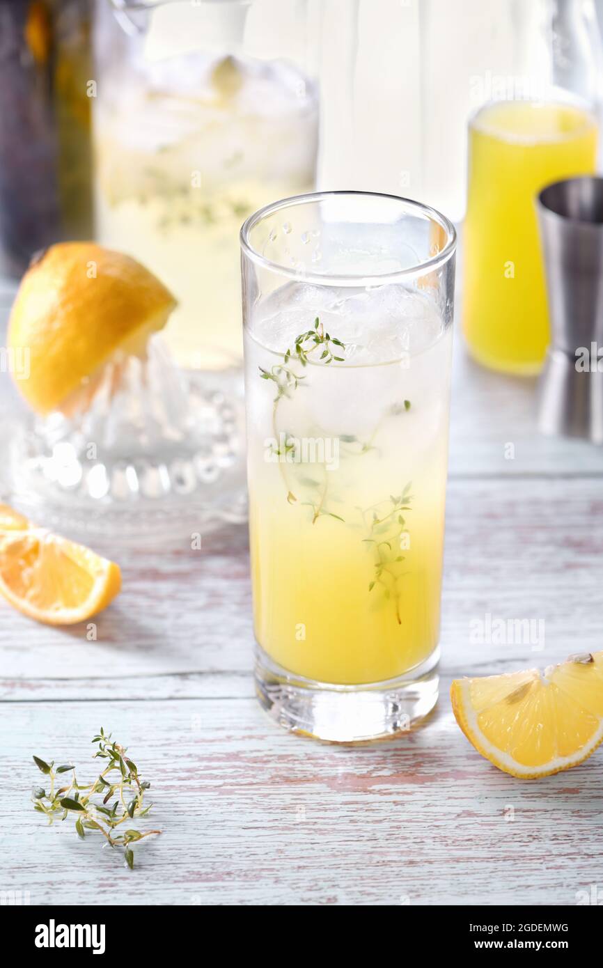 Facile cocktail estivo (Limoncello) succo di limone fresco, vodka e club  soda o acqua frizzante. Questa bevanda è il modo migliore per rinfrescarsi  in una giornata calda Foto stock - Alamy