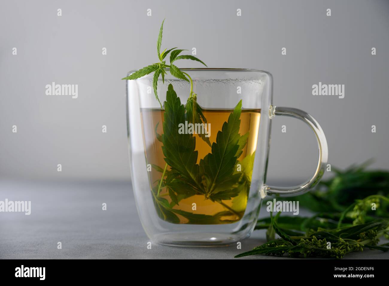 Tazza di cannabis a base di erbe calde o tè alla canapa in tazza di vetro Foto Stock