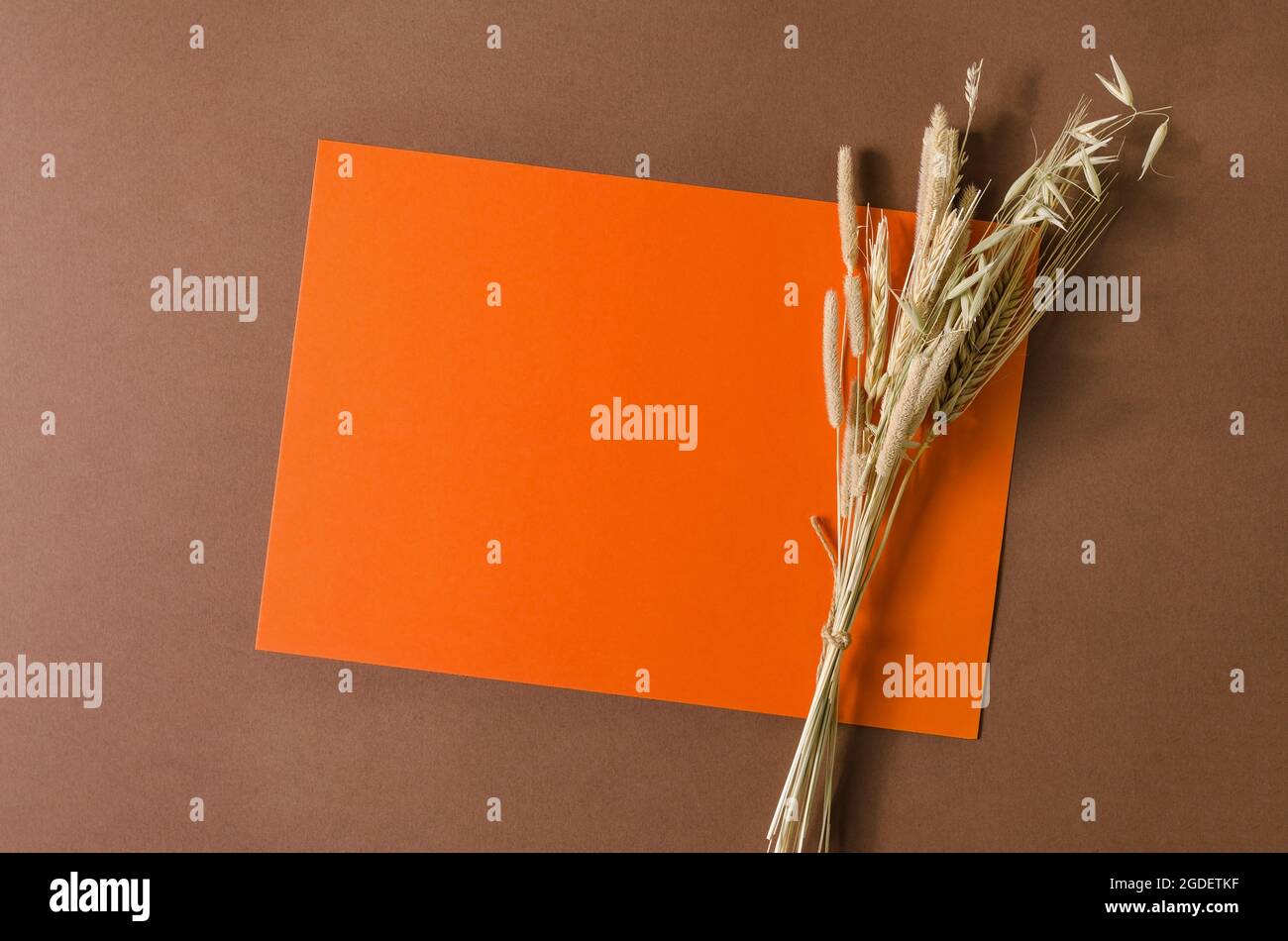 Mockup arancione su sfondo marrone. Bouquet autunnale di erbe secche su una foglia d'arancia. Disposizione piatta, copia del testo Foto Stock