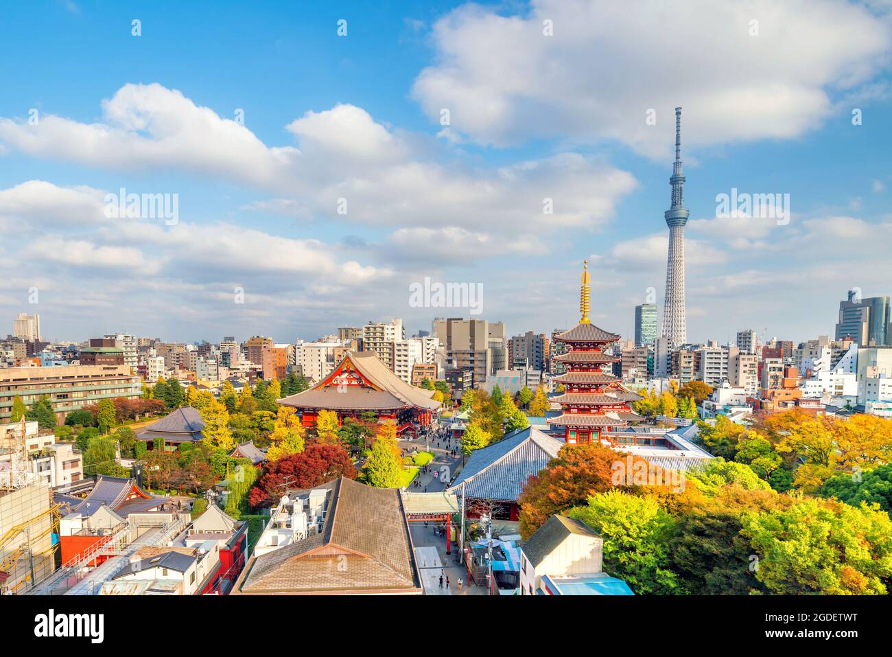 Vista dello skyline di Tokyo con il cielo blu estivo in Giappone. Foto Stock