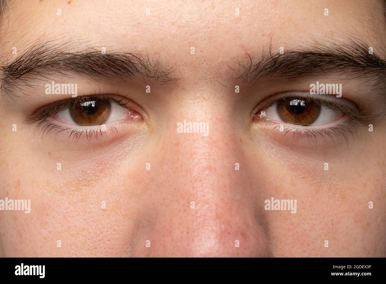 occhi color miele del ragazzo con sopracciglia nere Foto stock - Alamy