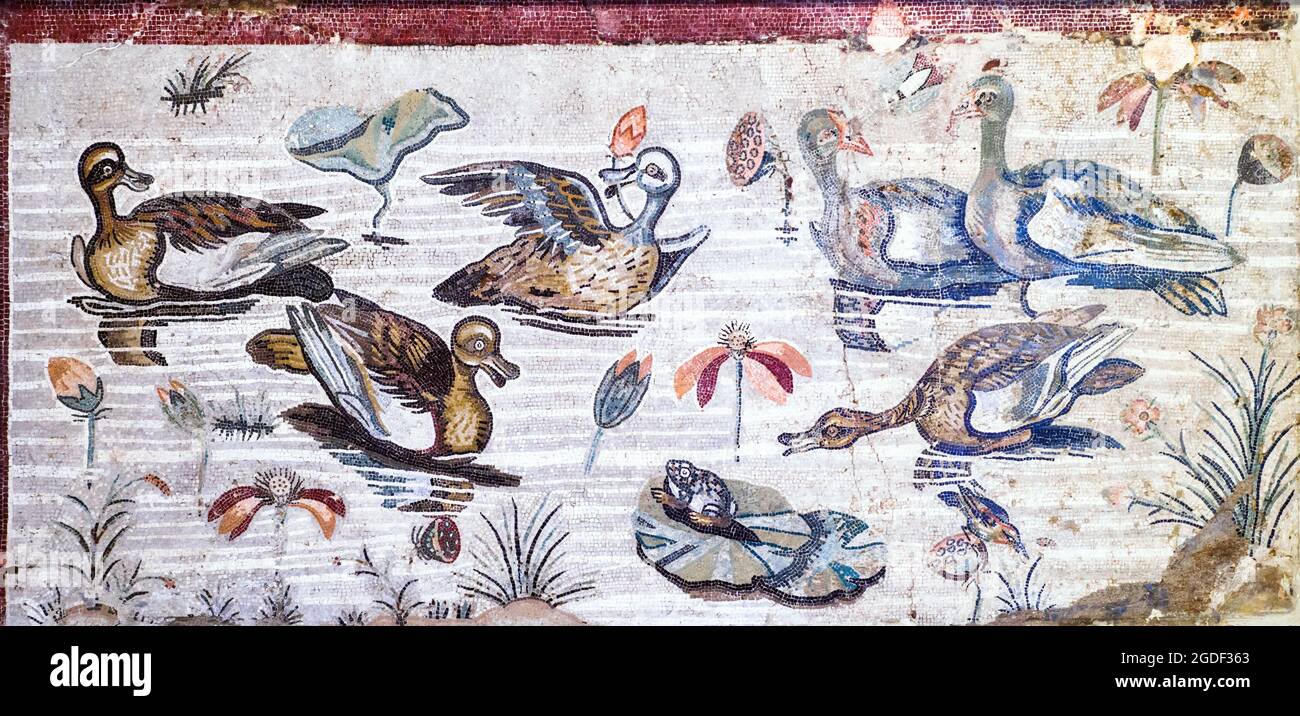 Ancora vita emblema Mosaico in opus vermiculatum fatto da tessere policrome che mostra anatre, uccelli, pesci e molluschi Pompei, Casa del Fauno - fine II - inizio i secolo a.C. Foto Stock