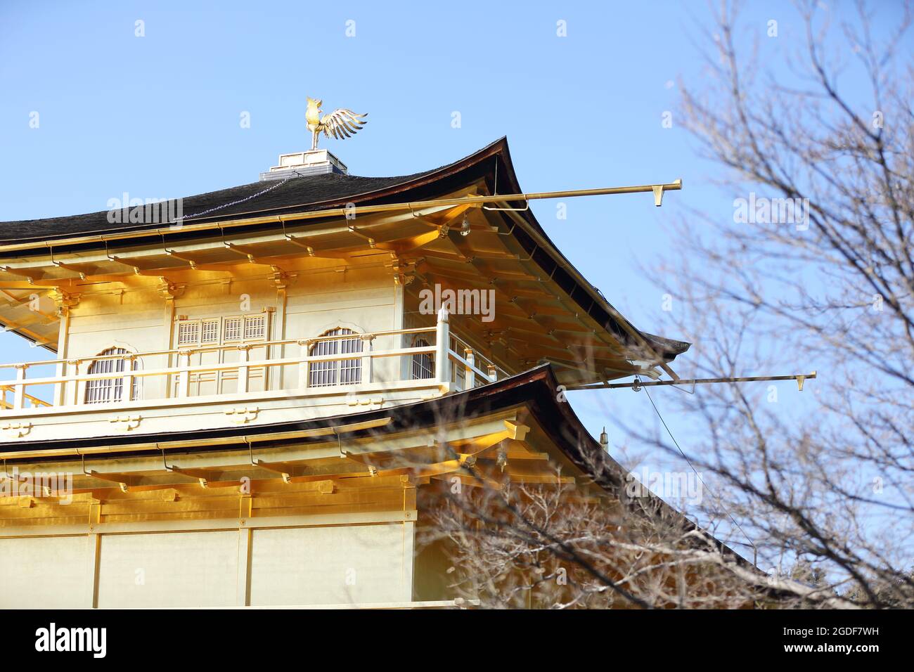Kinkakuji Temple (il Padiglione Dorato) a Kyoto, Giappone Foto Stock