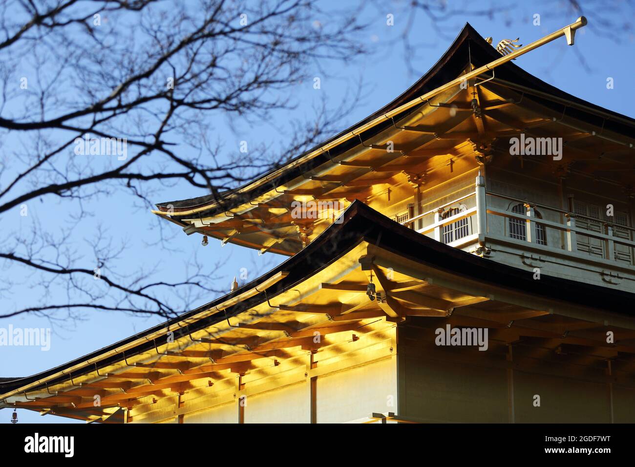 Kinkakuji Temple (il Padiglione Dorato) a Kyoto, Giappone Foto Stock