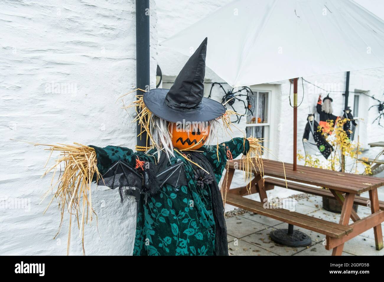 Uno spaventapasseri vestito da strega per le celebrazioni di Halloween a  Newquay in Cornovaglia Foto stock - Alamy