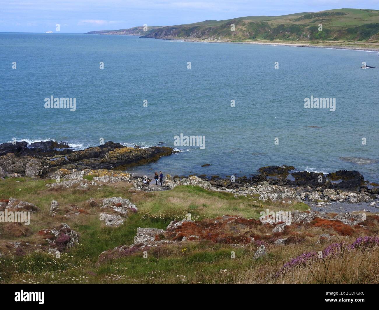 Killantringan Bay dal parcheggio vicino al faro di Killantringan, Dumfries & Galloway, Scozia. (Killantringan è derivato da 'Cill Shaint Ringain' - la cappella di St Ringan; Saint Ringain o Ringain è un rinvio medievale a Saint Ninian. Foto Stock