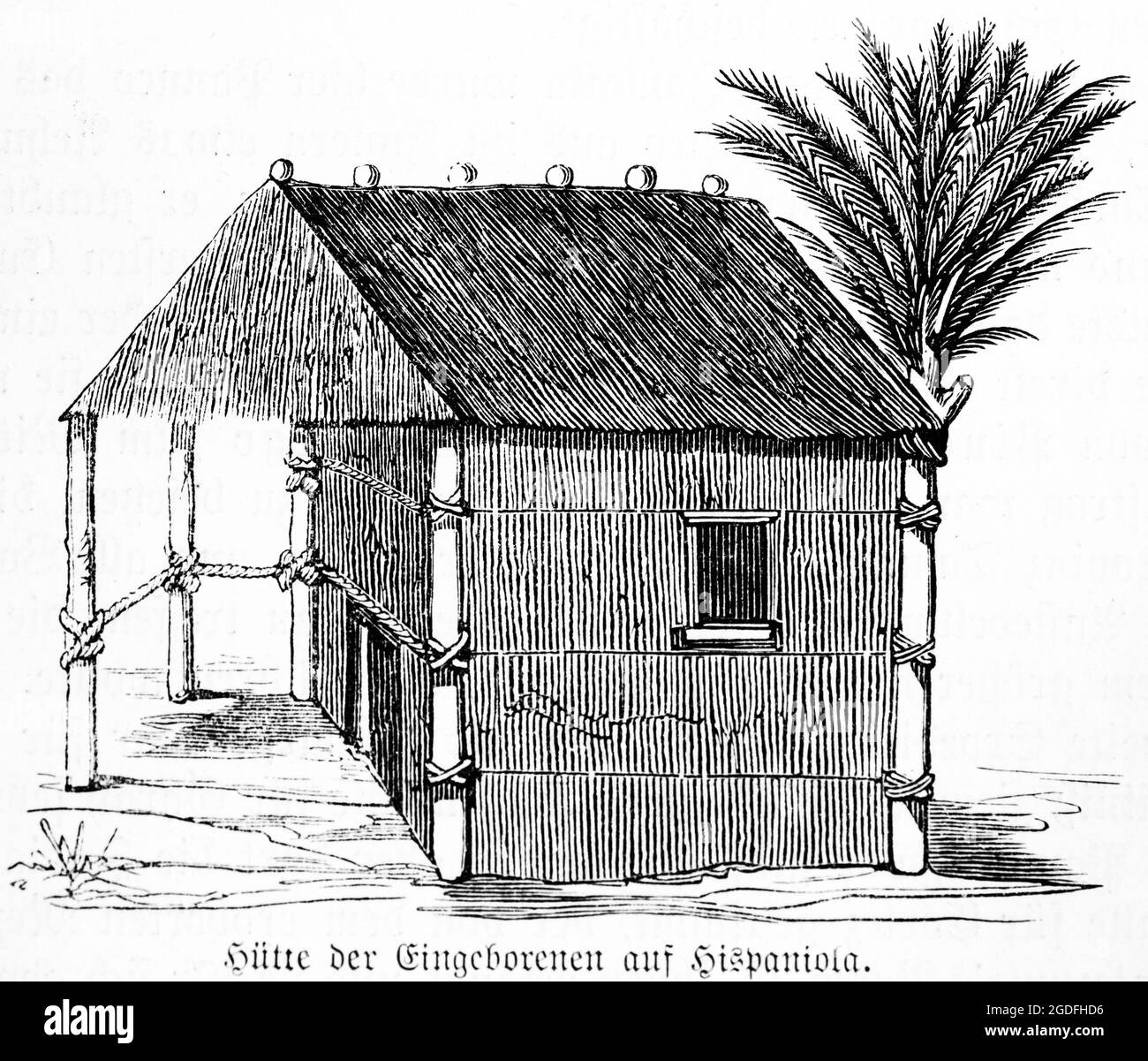 Capanna di nativi a Hispaniola, Mar dei Caraibi, America Centrale, illustrazione storica 1881 Foto Stock