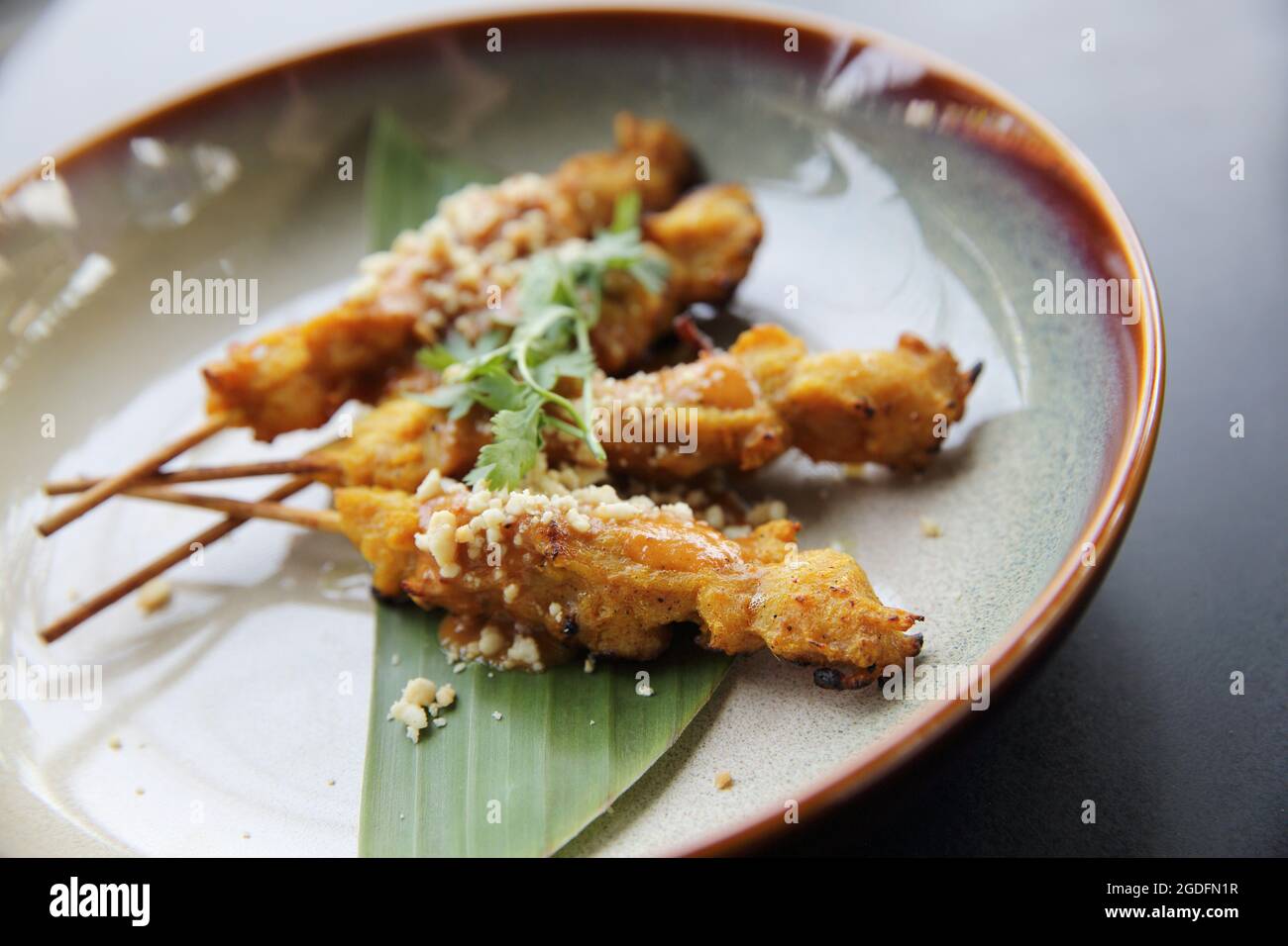 satay di pollo, ayam di sate e lontong con salsa di arachidi Foto Stock