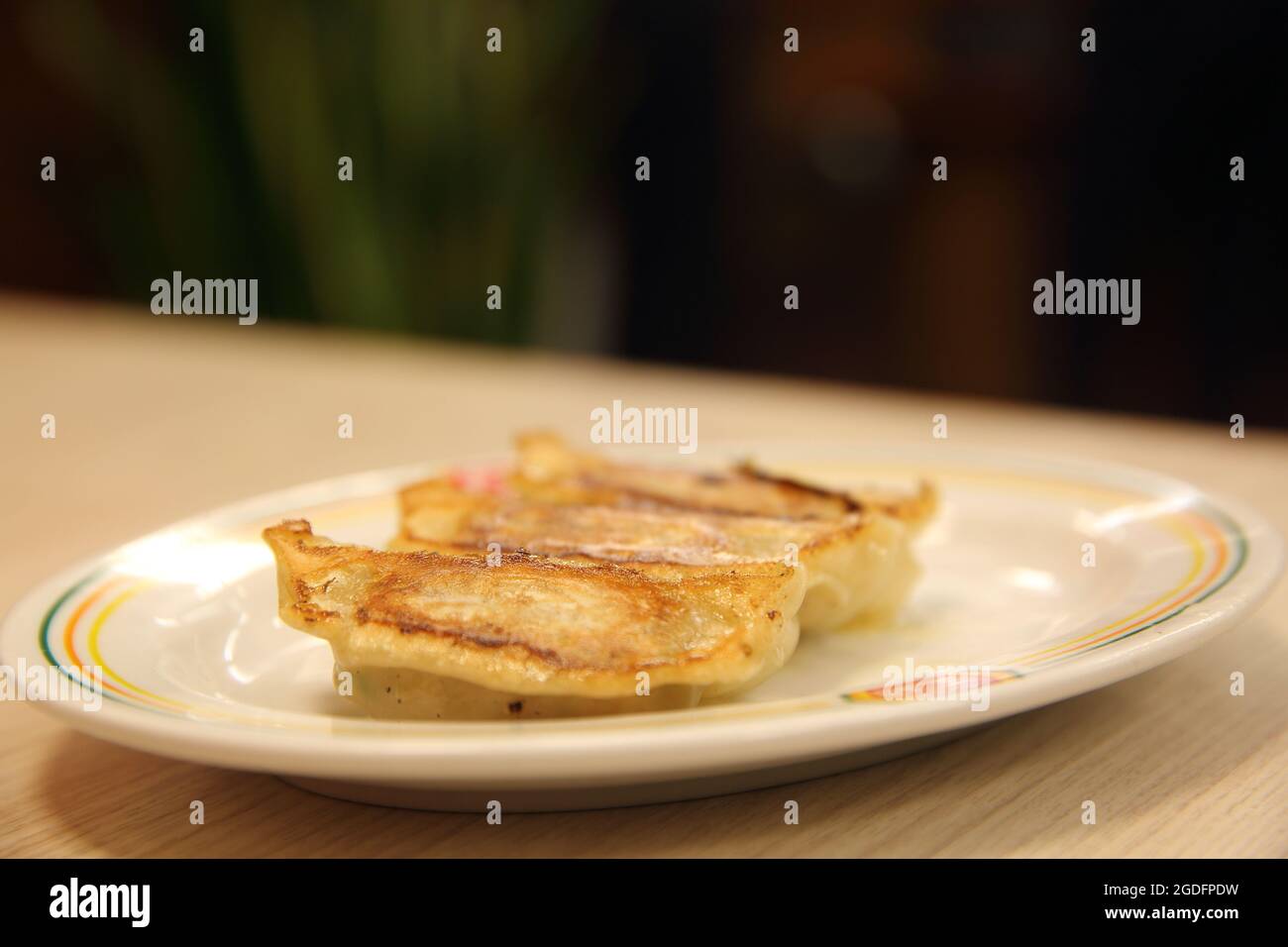 Antipasto di cibo giapponese, gyoza in primo piano Foto Stock