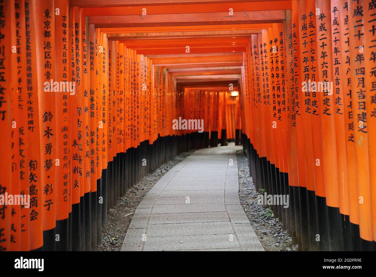 KYOTO - 2 Giugno : Fushimi Inari Taisha Shrine Inari a Kyoto. GIAPPONE 2 giugno 2016 Foto Stock