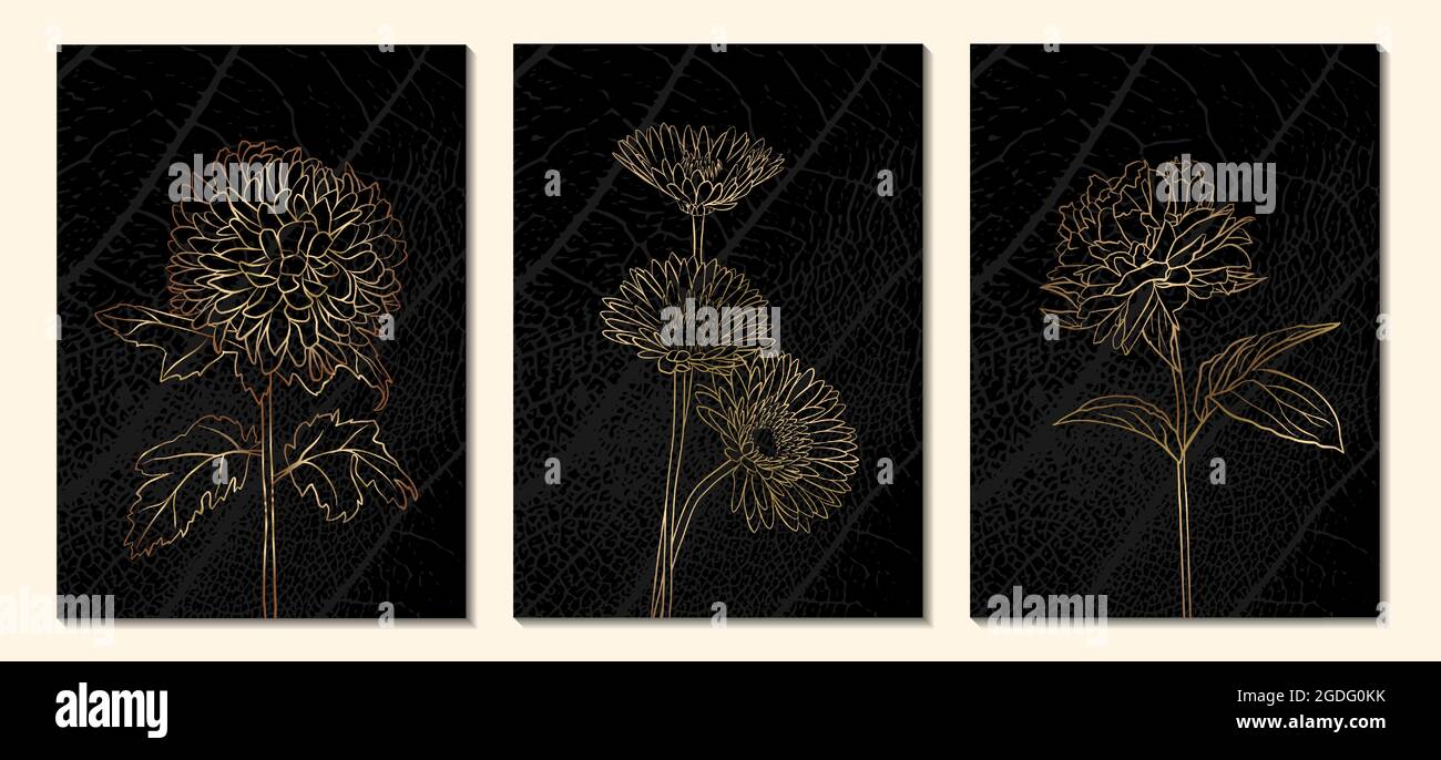 Una serie di illustrazioni botaniche minimaliste. Il profilo dorato della pianta su sfondo nero. Adatto per poster, biglietti d'auguri, biglietti aziendali ca Illustrazione Vettoriale