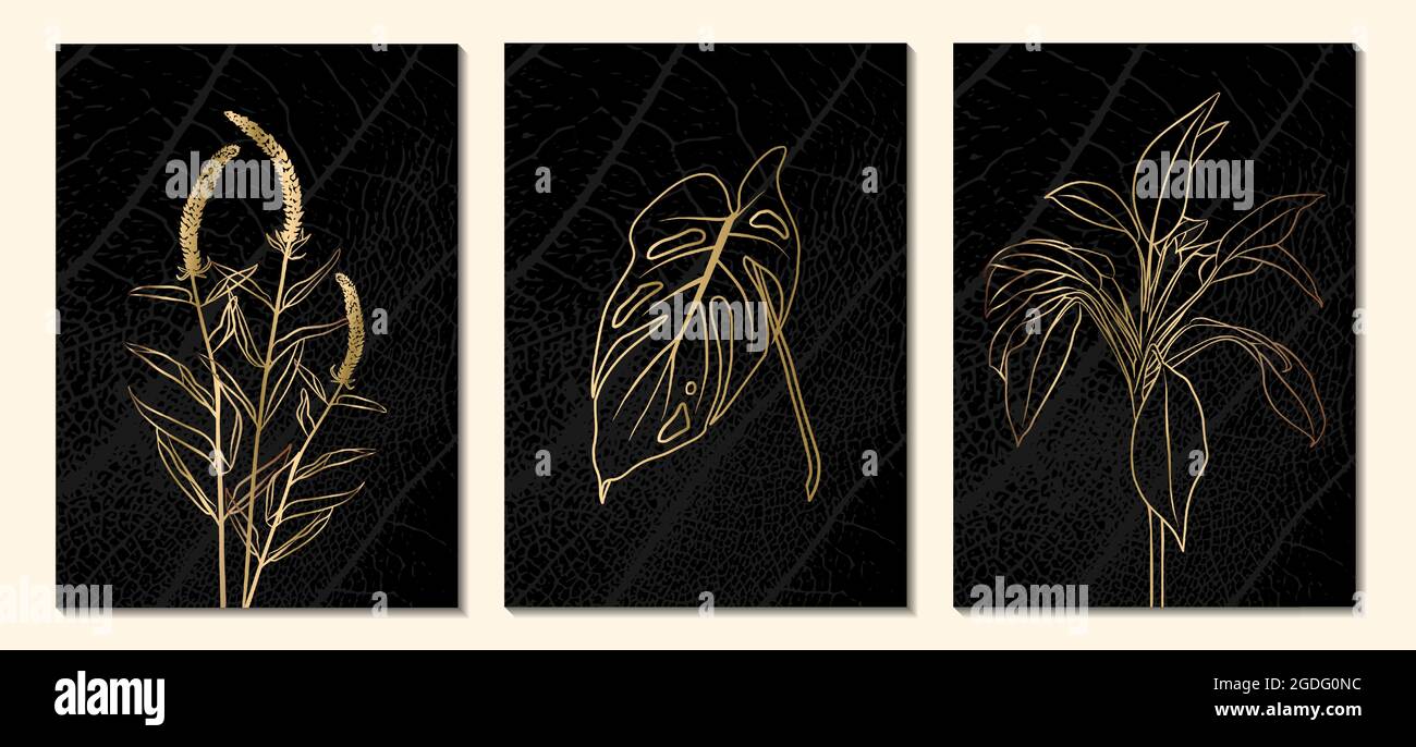 Una serie di illustrazioni botaniche minimaliste. Il profilo dorato della pianta su sfondo nero. Adatto per poster, biglietti d'auguri, biglietti aziendali ca Illustrazione Vettoriale