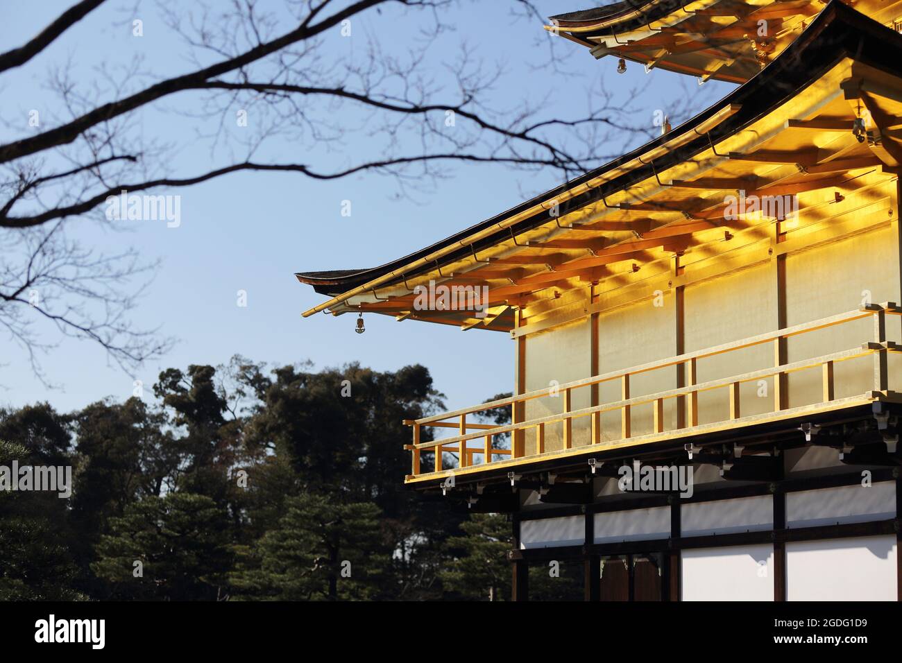 Kinkakuji Temple (il Padiglione Dorato) a Kyoto, Giappone Foto Stock