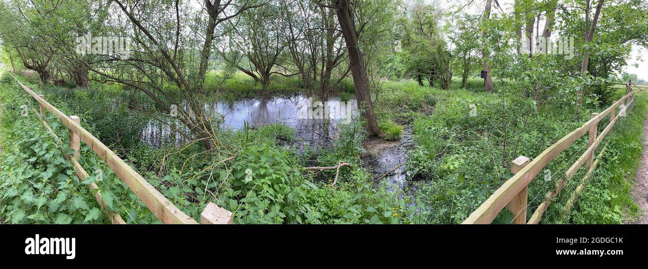 BATTLEMEAD COMUNE, stagni di stagione. Maidenhead, Berkshire.{Foto: Tony Gale Foto Stock