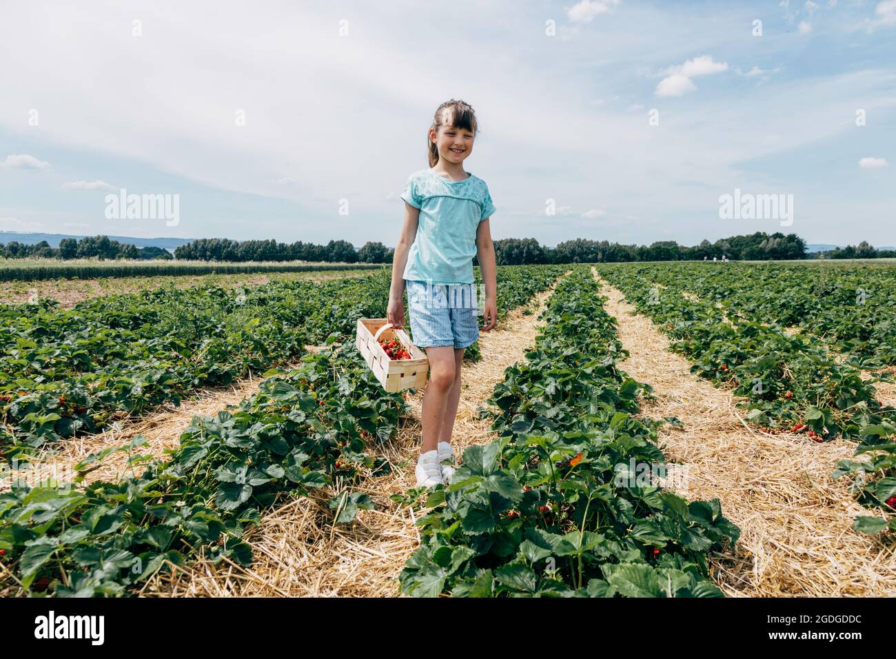 Felice ragazza, con un cesto di fragole in mano, si trova su un campo di fragole contro un cielo blu. Foto Stock