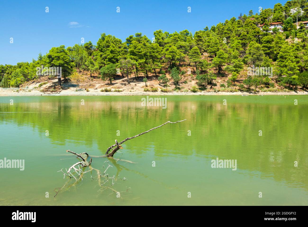 Il Lago di Beletsi, una delle ultime risorse naturali conservate nella regione di Attica, molto vicino alla città di Atene, Grecia, Europa Foto Stock