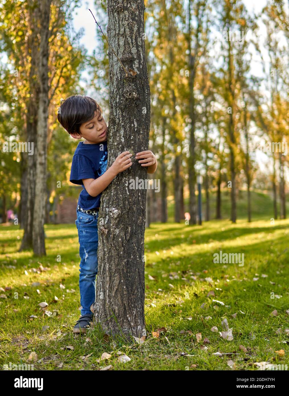 Il bambino bruna gioca nella foresta in autunno abbracciando un albero. Sfondo sfocato, spazio verticale e copia Foto Stock