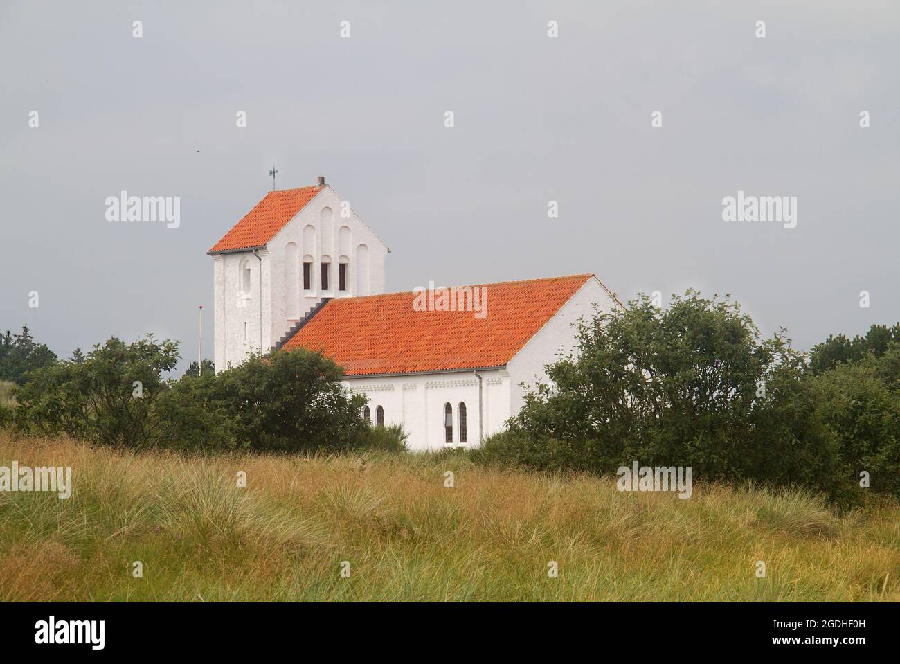 Nørre Lyngvig, una tipica chiesa danese, bianca con tetto in tegole rosse, tra alberi e dune Foto Stock