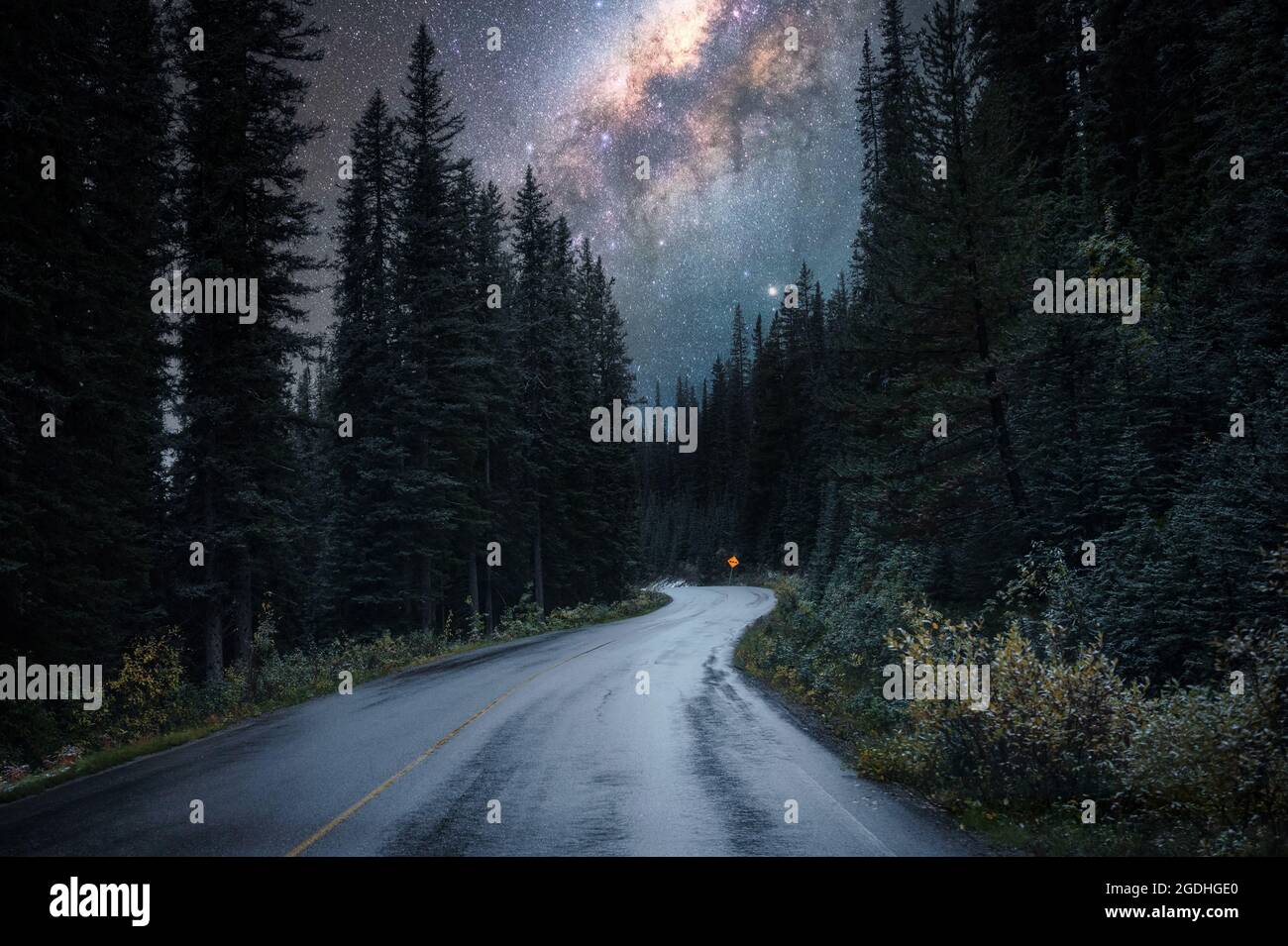 Via Lattea con stellata su strada statale in pineta al parco nazionale Foto Stock