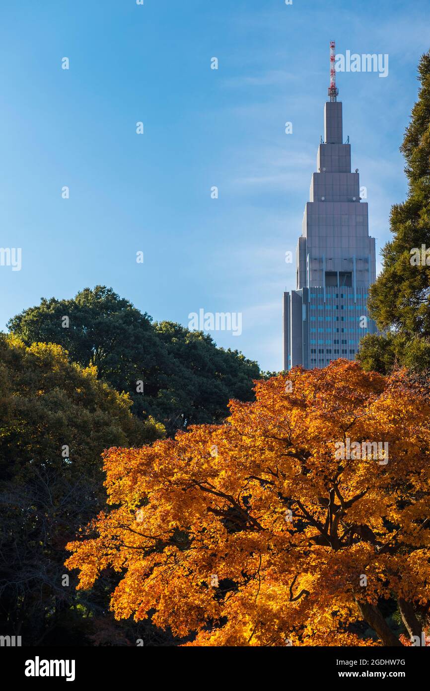 Alto edificio visto dai giardini di Tokyo Foto Stock