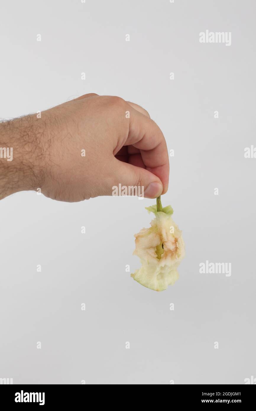 Il tronco di Apple in una mano dell'uomo su uno sfondo bianco. Un nucleo di mela mangiato isolato su sfondo bianco. Foto Stock