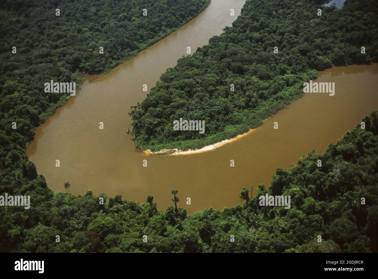 Foresta densa e intatta lungo il fiume Urucu, foresta pluviale amazzonica. Brasile. Foto Stock