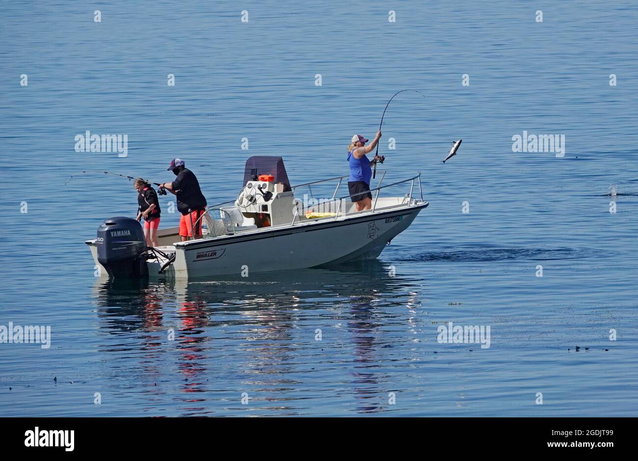 Sitka, Alaska. I pescatori in una piccola barca nel porto di Sitka gettano per il salmone chinook, rosa e chum. Foto Stock