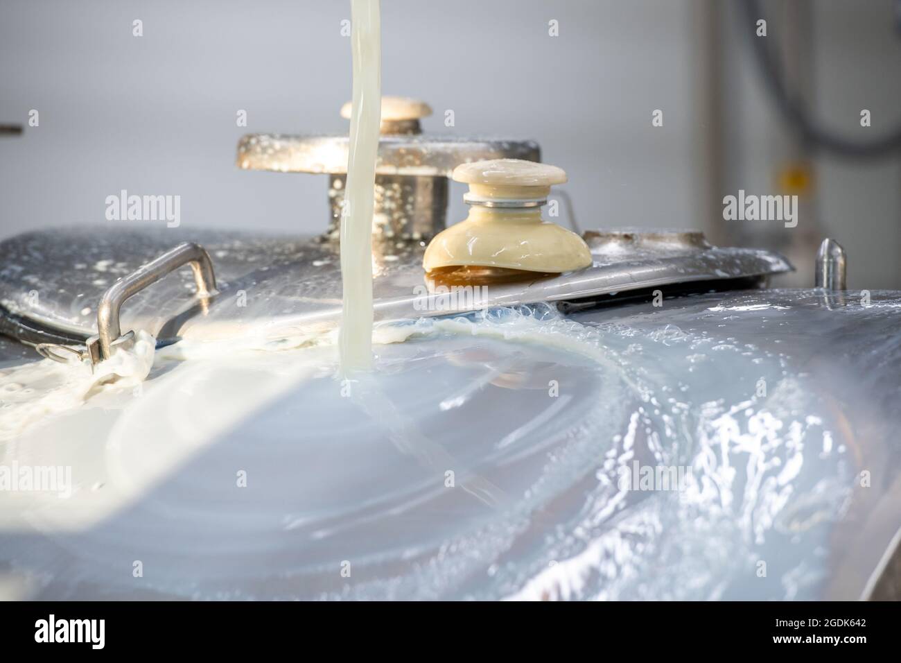 Latte crudo in esecuzione durante la lavorazione dei latticini presso la Broom Bloom Foto Stock