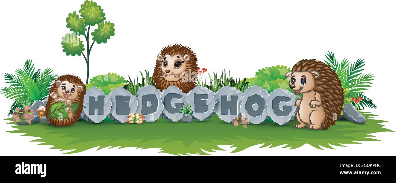 Hedgehog sono godere del giardino Illustrazione Vettoriale