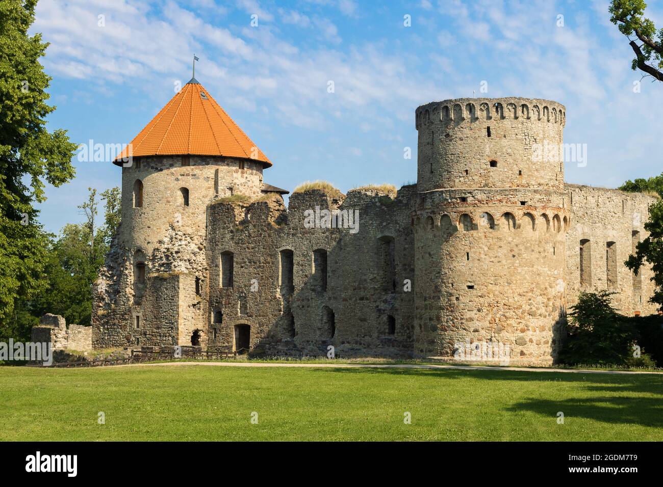 Castello medievale in una soleggiata giornata estiva. Erba verde brillante in primo piano, cielo blu sullo sfondo. Castello con tetto arancione. Memorie del t Foto Stock