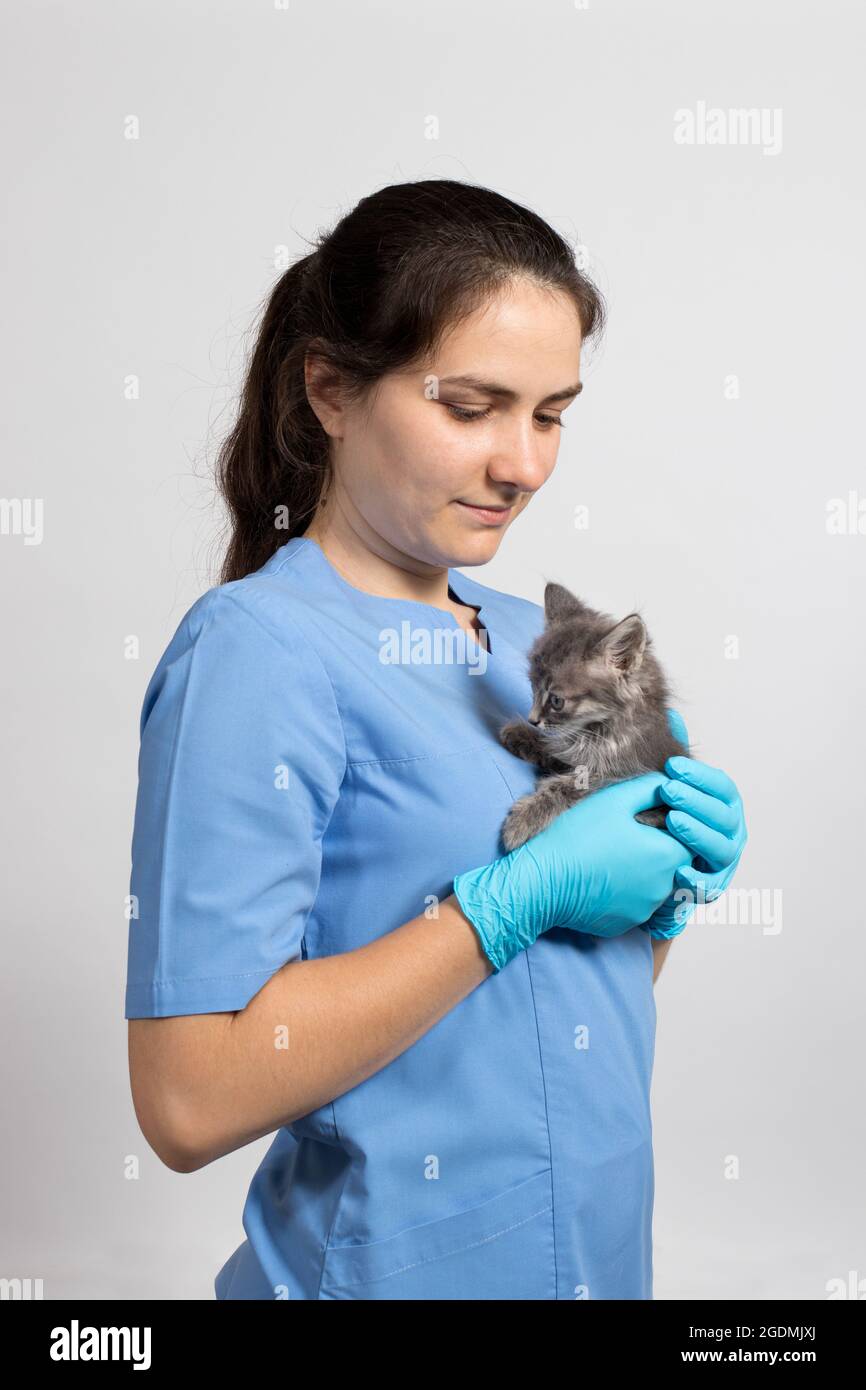 Un veterinario medico di gatto in un uniforme medica e guanti sta tenendo un piccolo gattino. Clinica veterinaria. Verticale. Foto Stock