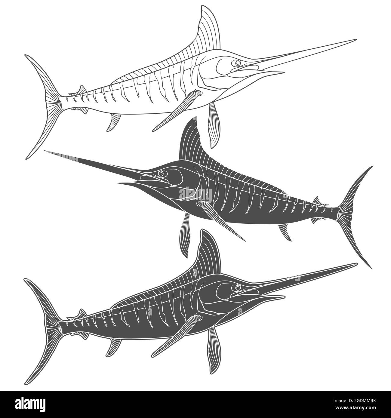 Set di immagini in bianco e nero con pesce marlin. Oggetti vettoriali isolati su sfondo bianco. Illustrazione Vettoriale