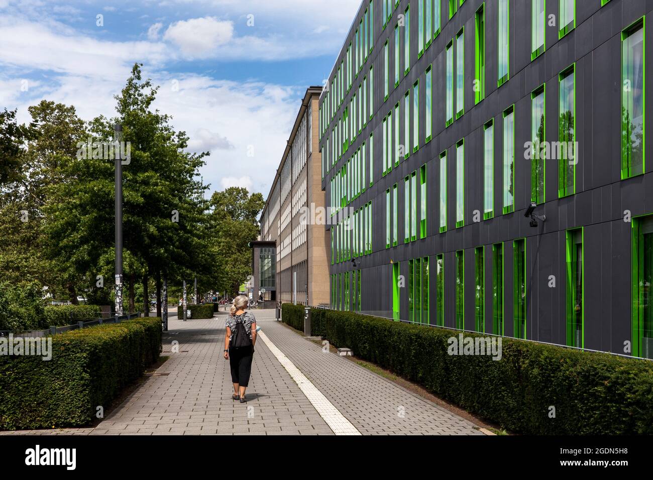 L'edificio del Centro servizi SSC Studierenden (Centro servizi per studenti) dell'Università di Colonia nel distretto Lindenthal, architetto Schuster Foto Stock