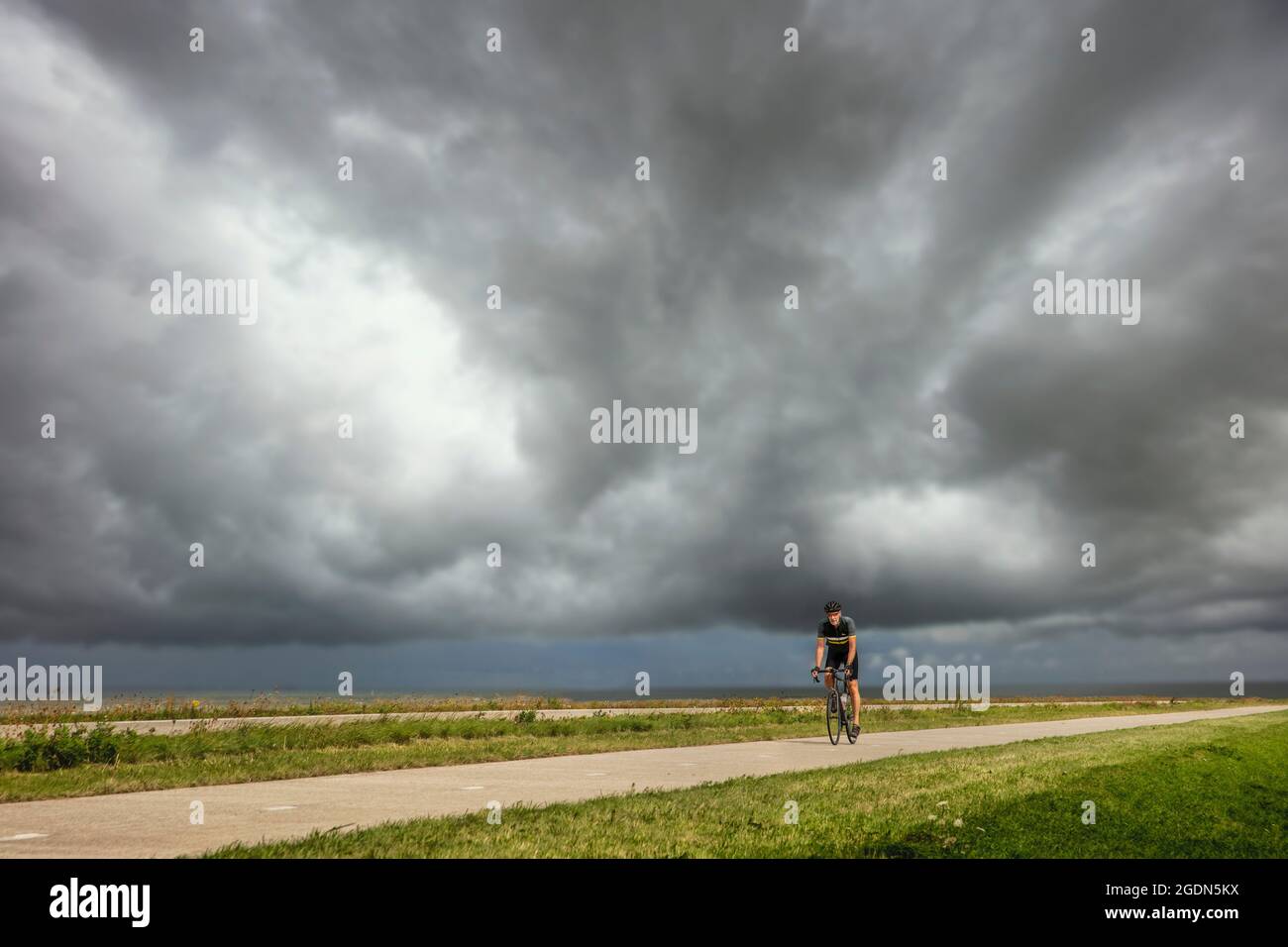 I Paesi Bassi, Lelystad, Flevopolder, Reclaimed terra, a circa 3 metri (9.8 piedi) sotto il livello del mare. Diga lungo il lago di Markermeer. Ciclista. Foto Stock
