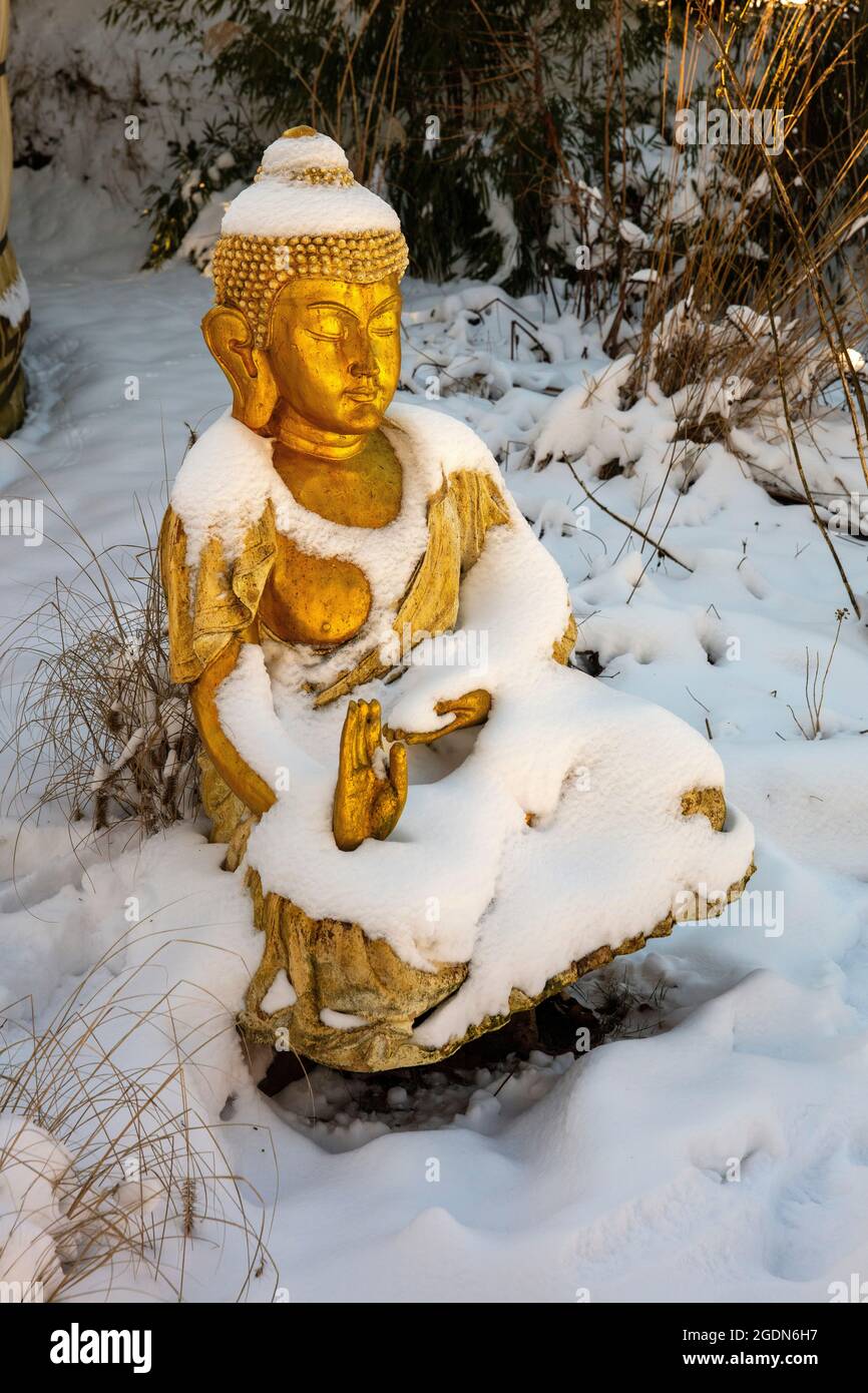 Paesi Bassi, Stroe. Statua di Buddha nel giardino del centro di istruzione Wim Hof nei Paesi Bassi. WIM è noto per il metodo Wim Hof, un semplice, tuttavia Foto Stock