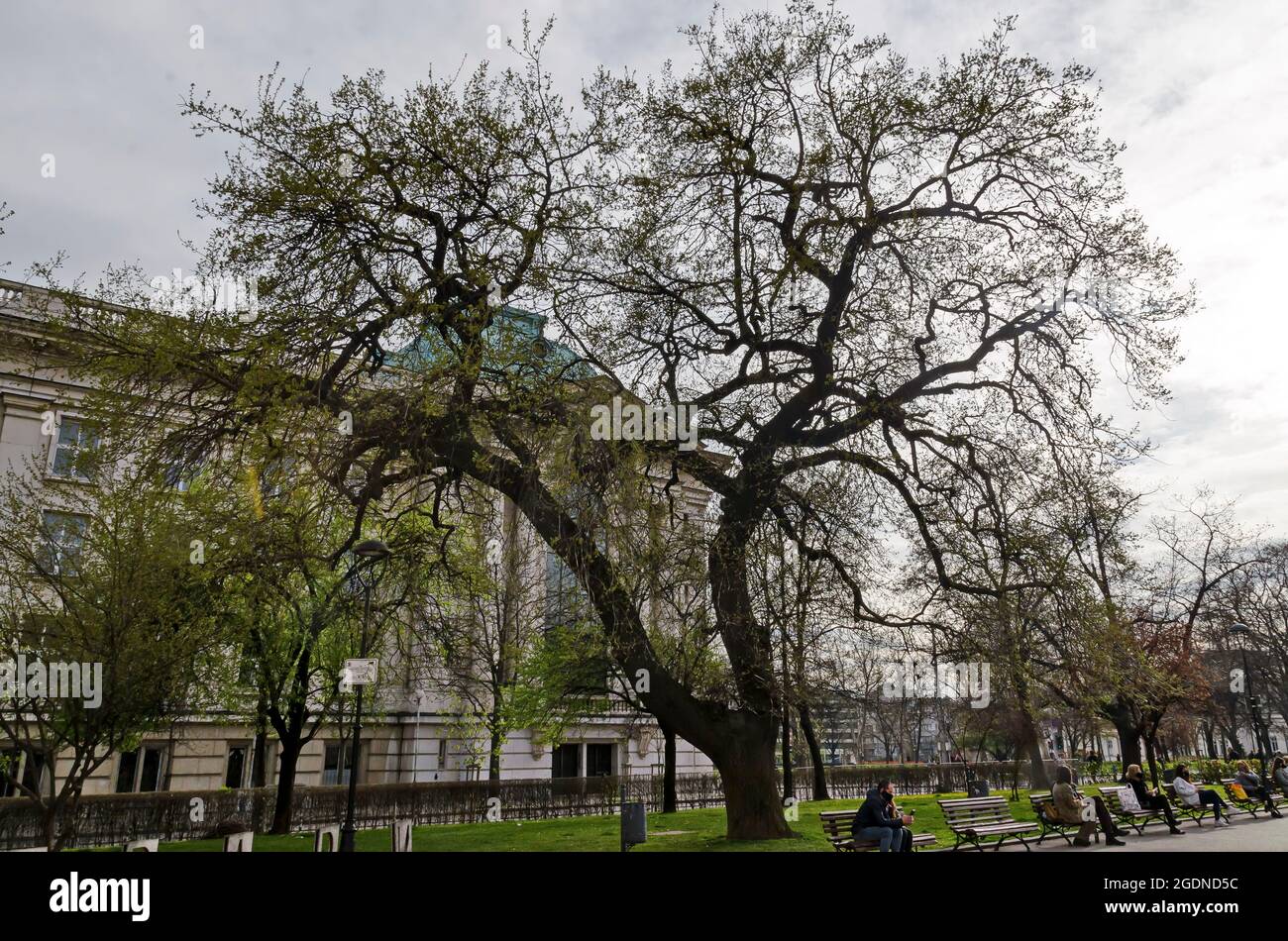 Luogo accogliente per il relax primaverile con gli amici all'ombra degli alberi nel parco, Sofia, Bulgaria Foto Stock