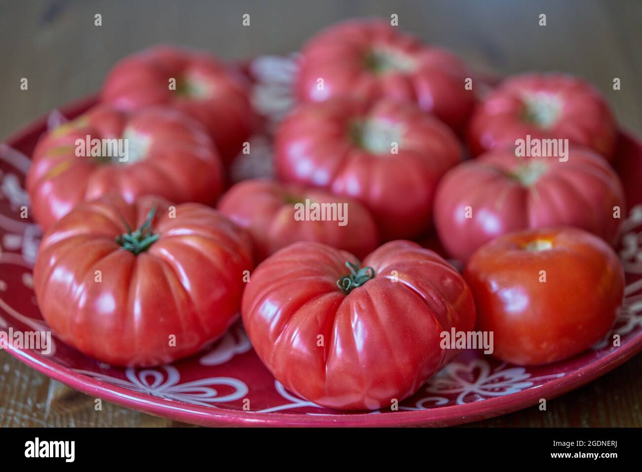 Pomodori biologici maturi e rigogliosi sul piatto Foto Stock