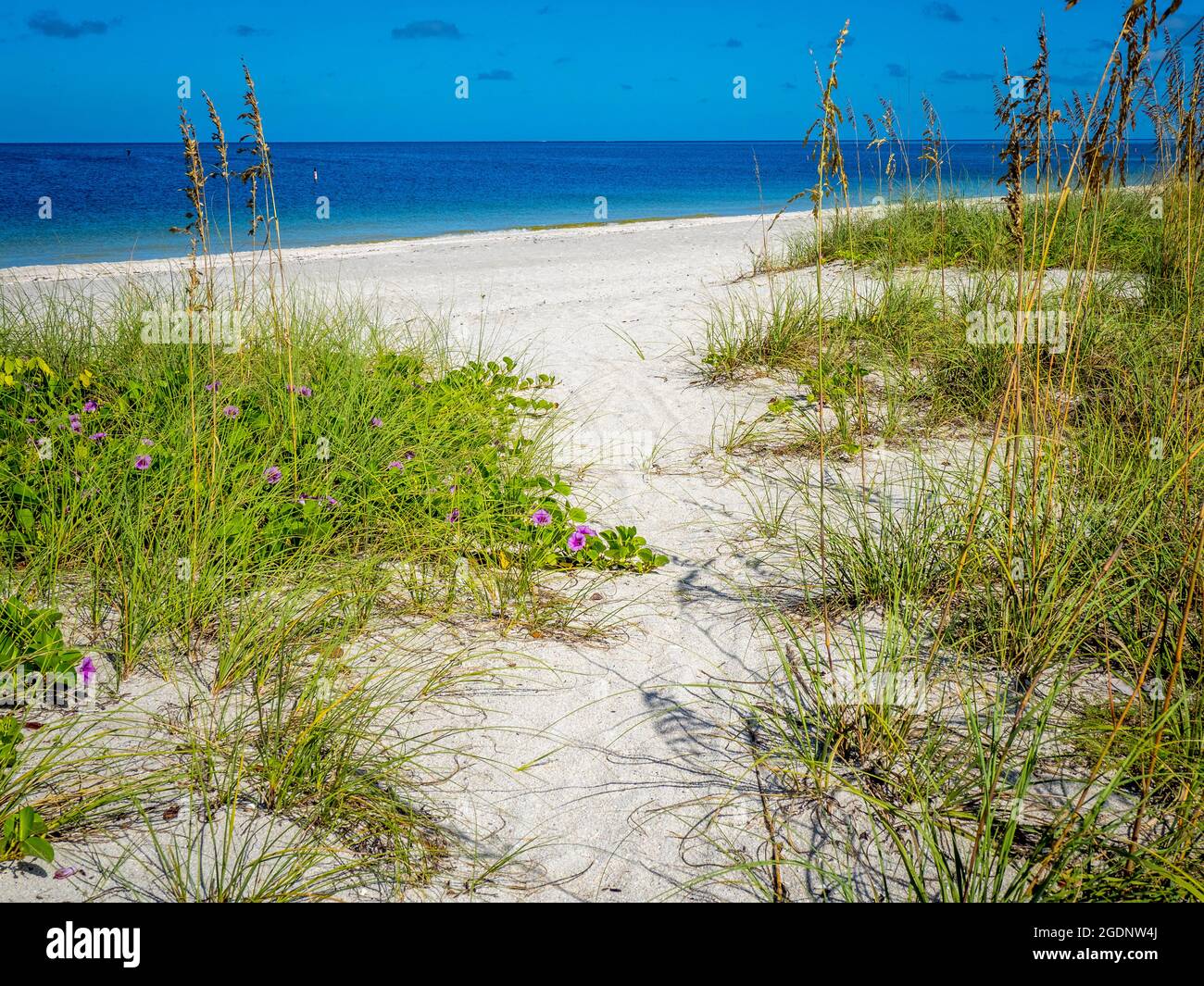 Percorso a Nokomis Beach nel sud-ovest della Florida sul Golfo del Messico a Nokomis Florida USA Foto Stock