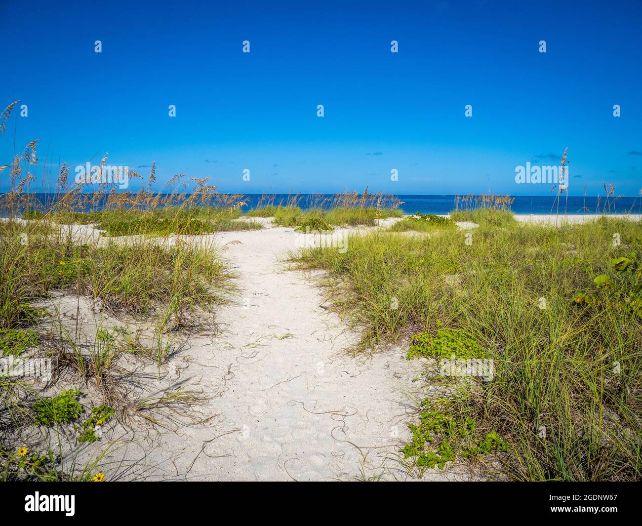Percorso a Nokomis Beach nel sud-ovest della Florida sul Golfo del Messico a Nokomis Florida USA Foto Stock
