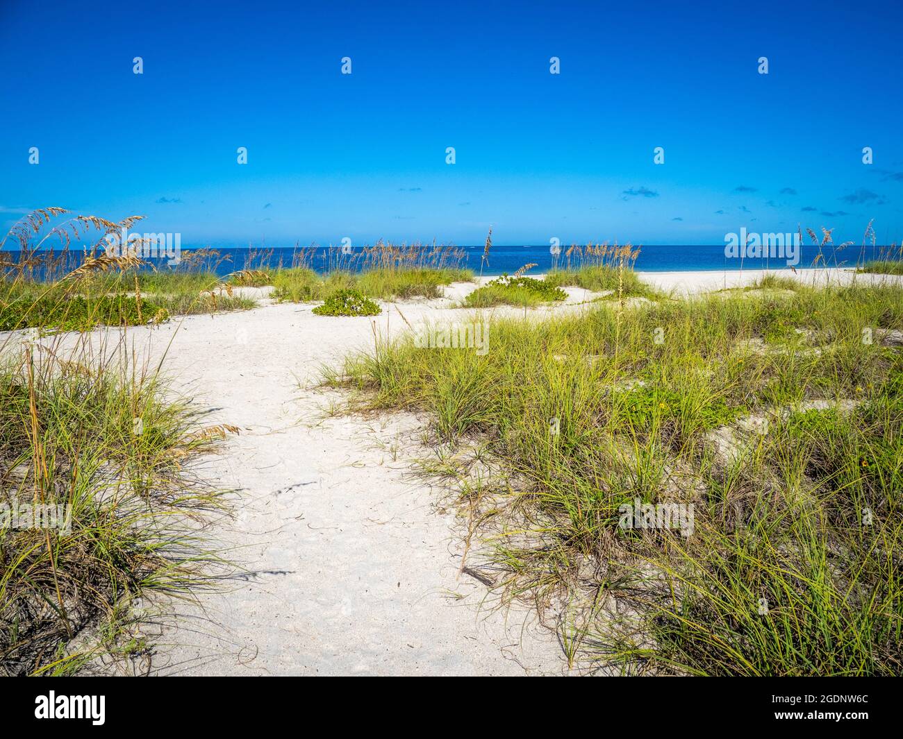 Percorso a Nokomis Beach nel sud-ovest della Florida sul Golfo del Messico a Nokomis Florida USA Foto Stock