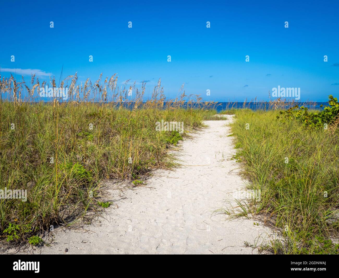 Percorso a Nokomis Beach nel sud-ovest della Florida sul Golfo del Messico a Nokomis Florida USA Foto Stock